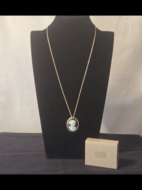 Vintage Cameo Necklace, brooch. 24" Chain